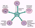 白細胞介素-2