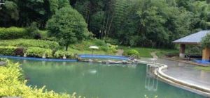 花水灣櫻花溫泉 花水灣櫻花溫泉