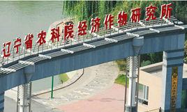 遼寧省農業科學院經濟作物研究所