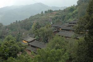 李子園二組村 李子園二組村