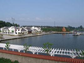 彭墩村[浙江省嘉興市海寧市袁花鎮下轄村]