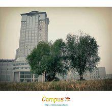 南京江寧經濟技術開發區