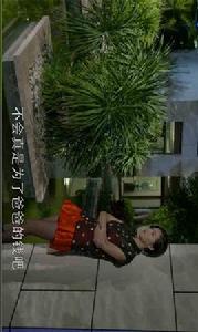 第二次人生全集 第二次人生全集