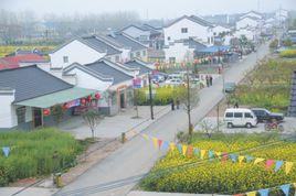 太湖港農場 太湖港農場