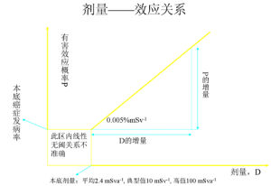 劑量—效應關係