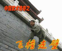 葛強[武術家，寧夏石嘴山人]