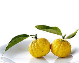 檸檬柚 檸檬柚