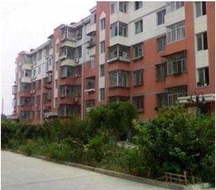 南櫻桃園 南櫻桃園