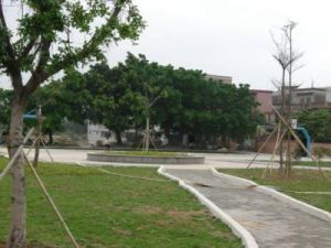 小谷圍街道 小谷圍街道