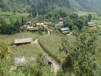 蒿芝坪村 蒿芝坪村