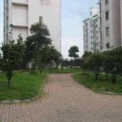 南亞花園 南亞花園