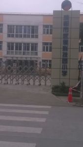 成都市科技園國小 成都市科技園國小