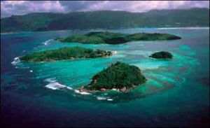 非洲塞席爾群島馬雷歐克肯斯高海拔淡水濕地