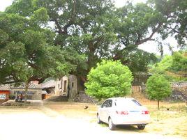 半月里村 半月里村