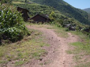 青禾早自然村 青禾早自然村