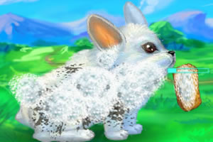 我的可愛小兔子 我的可愛小兔子