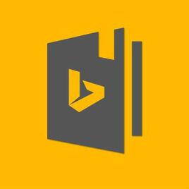 必應詞典 必應詞典