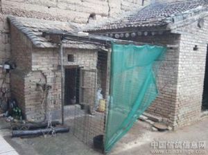 中國養鴿網 中國養鴿網