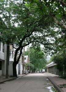 杭州六部橋直街