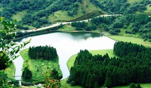 大容山森林公園 