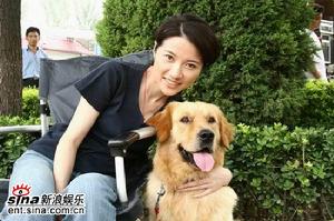 《蜘蛛人與狗》