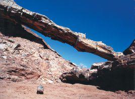 新疆奇台矽化木-恐龍國家地質公園 新疆奇台矽化木-恐龍國家地質公園