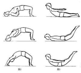 小燕飛[肢體運動]