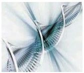 全基因合成 全基因合成