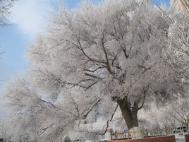 山東省交通運輸廳公路局 山東省交通運輸廳公路局