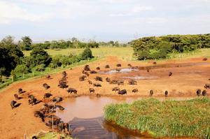 阿伯代爾國家公園 阿伯代爾國家公園