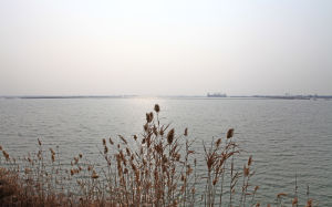 大縱湖旅遊區 大縱湖旅遊區