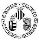 瓦倫西亞大學 瓦倫西亞大學