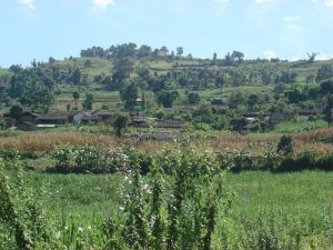 領崗衣自然村全貌