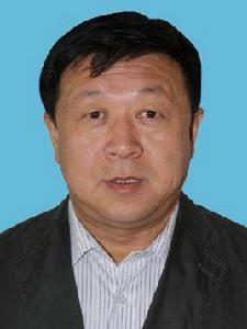 黃國強[新疆生產建設兵團國土資源局局長]