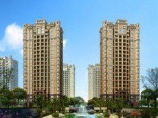 金浩仁和天地 金浩仁和天地