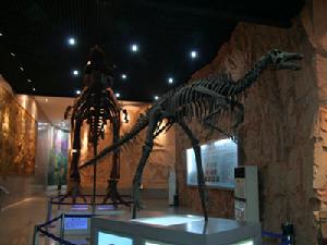 南陽恐龍蛋化石群自然保護區