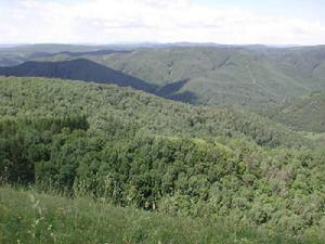 諸佛庵[地理區域]