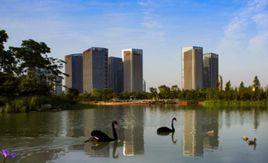 台州高新技術產業園區 台州高新技術產業園區