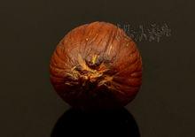 不同角度的單顆紫金鼠