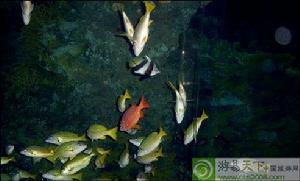 國立海洋生物博物館