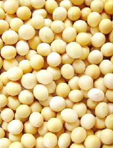 豆製品還優質植物蛋白，可以翹臀豐胸，補充大豆異黃酮
