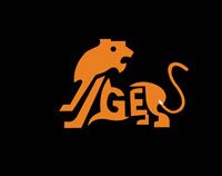 深圳市泰戈爾皮具有限公司 深圳市泰戈爾皮具有限公司