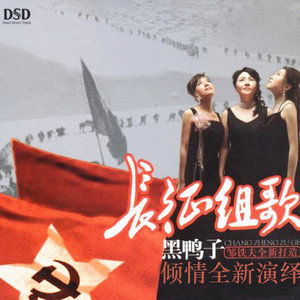 飛越大渡河 飛越大渡河