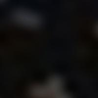 HR 4994 RASS 彩色圖