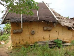 羅師塘自然村 羅師塘自然村