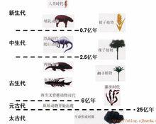 生物進化的一般序列