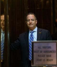 雷恩斯&middot;普利巴斯