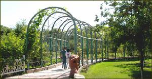 黑龍江省森林植物園