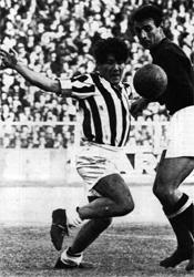 恩里科·奧馬爾·西沃里 恩里科·奧馬爾·西沃里