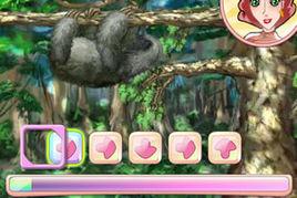 可愛的樹懶 可愛的樹懶